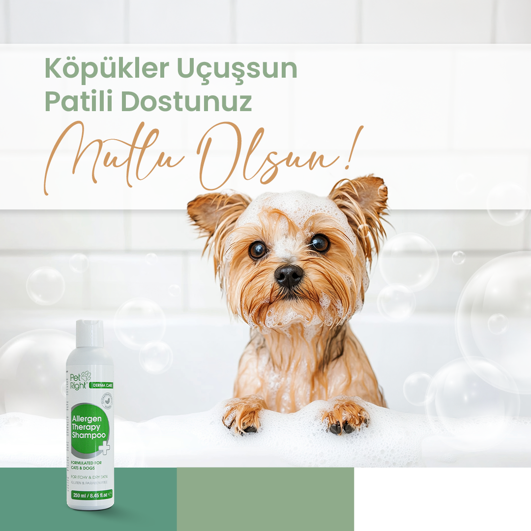 Petright Sosyal Medya