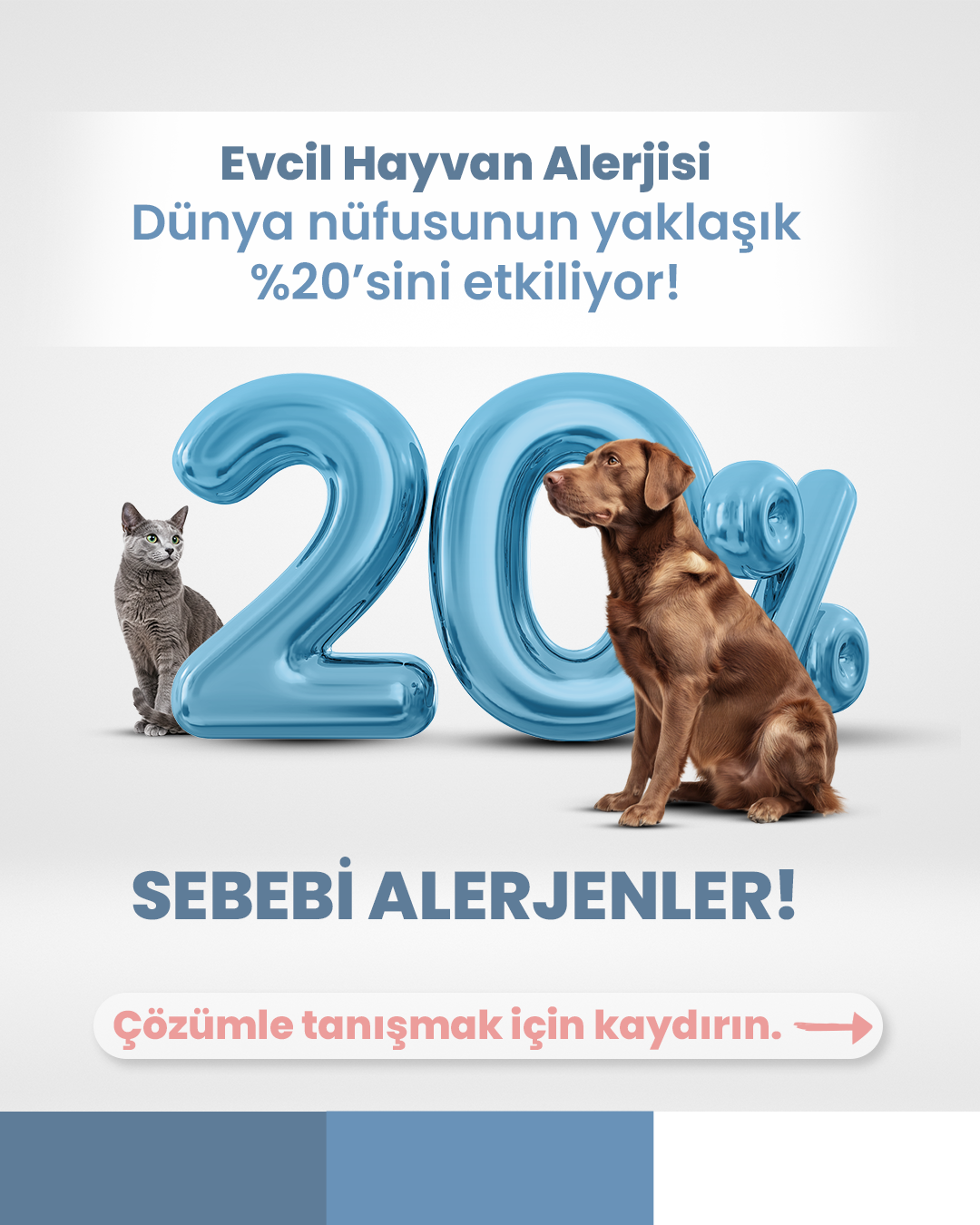 Petright Sosyal Medya